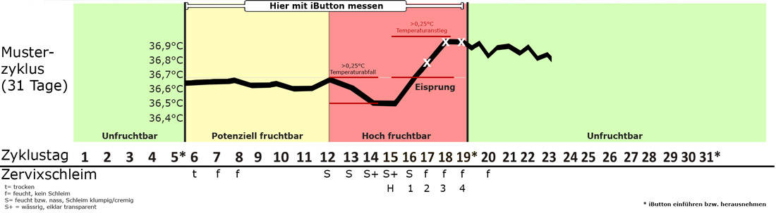 Uber Nfp Myibutton Nfp Female Basal Thermometer